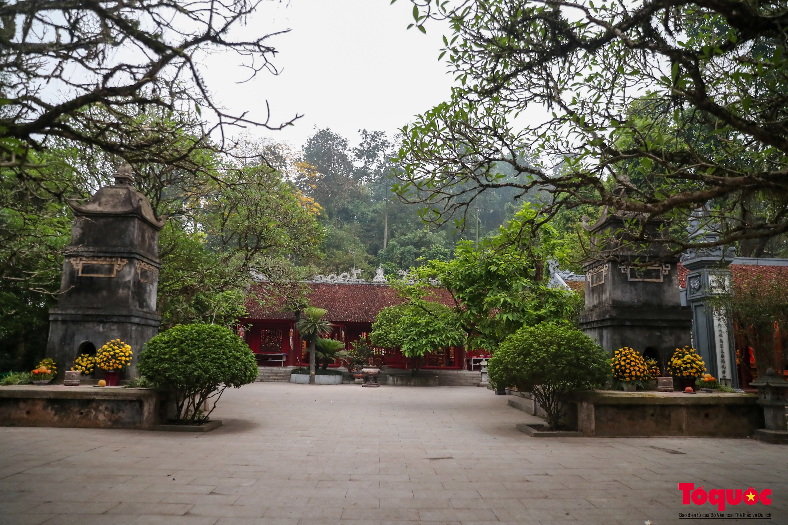 Chiêm ngưỡng cây vạn tuế gần ngàn năm tuổi - Báu vật xanh của Di tích lịch sử Đền Hùng - Ảnh 1.